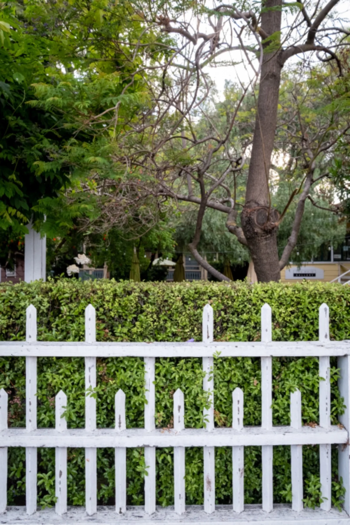 White open picket fence installation